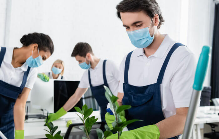What are the different types of cleaning?