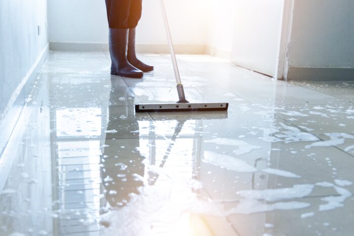 What Is A Fancy Word For Janitor?